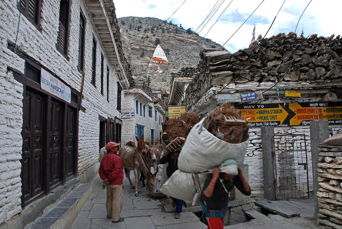 104 Marpha Busy Main Street Marpha�s main street is paved with slabs of stone covering an extensive drainage system. The flat-roofed houses are all neatly whitewashed along the busy narrow street, hectic with people, horses, and donkey trains.